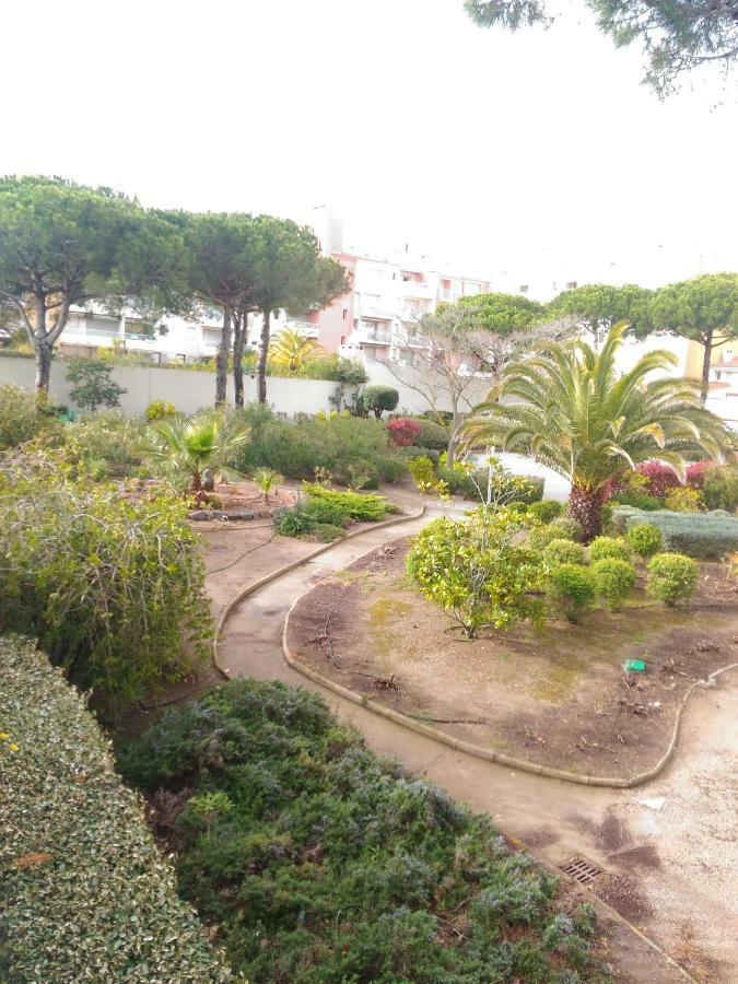 L'Appart Du Cap آجد المظهر الخارجي الصورة